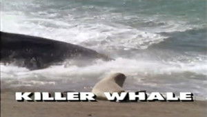 Predators of the Wild: Killer Whale háttérkép