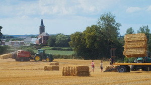 Un été à la ferme - L'âge d'or háttérkép