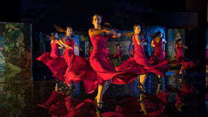 Flamenco Flamenco háttérkép