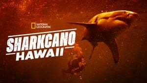 Sharkcano: Hawaii háttérkép