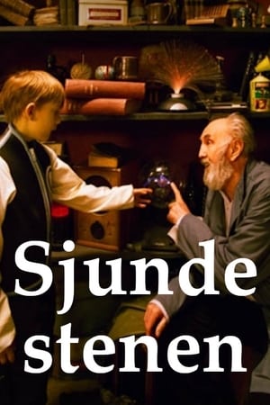 Sjunde stenen