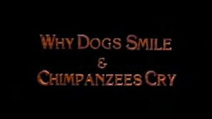 Why Dogs Smile and Chimpanzees Cry háttérkép