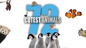 72 Cutest Animals kép