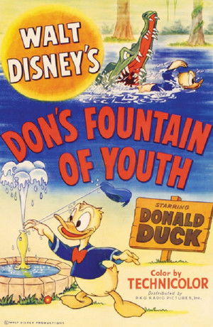 Don's Fountain of Youth poszter