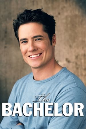 The Bachelor