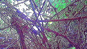 Vague Void háttérkép