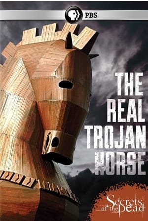 The Real Trojan Horse poszter