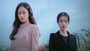 마당이 있는 집 kép