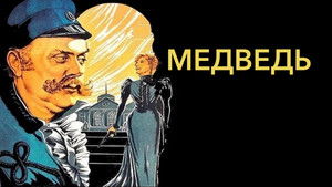 Медведь háttérkép