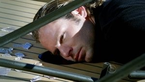 CSI: New York-i helyszínelők 6. évad Ep.8 Kakukkfészek
