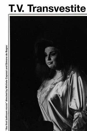 T.V. Transvestite poszter