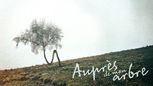 Auprès de mon arbre háttérkép