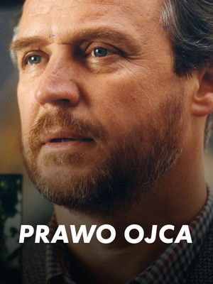 Prawo ojca poszter