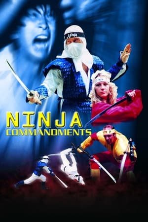 Ninja Commandments poszter