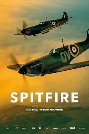 Spitfire poszter