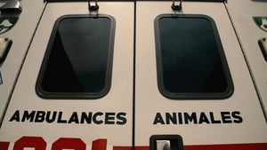 Ambulances animales kép