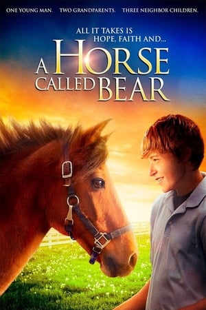 A Horse Called Bear poszter