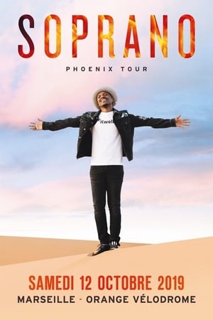 Soprano, Phoenix Tour - La tournée des stades poszter