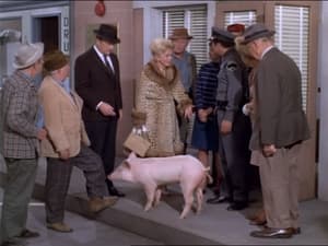 Green Acres Season 6 Ep.18 18. epizód