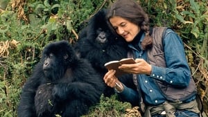 Dian Fossey: Secrets in the Mist kép