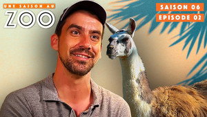Une saison au zoo Season 6 Ep.2 2. epizód
