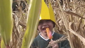 The Ice Lolly King háttérkép