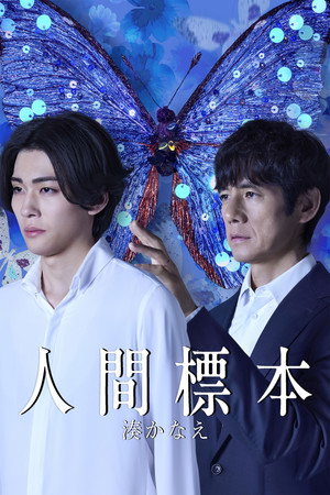人間標本