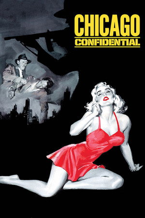 Chicago Confidential poszter