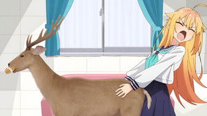 しかのこのこのここしたんたん kép