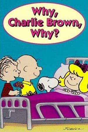 Why, Charlie Brown, Why? poszter