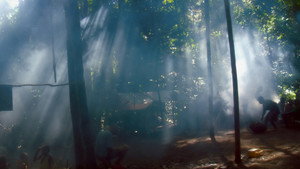 Song from the Forest háttérkép
