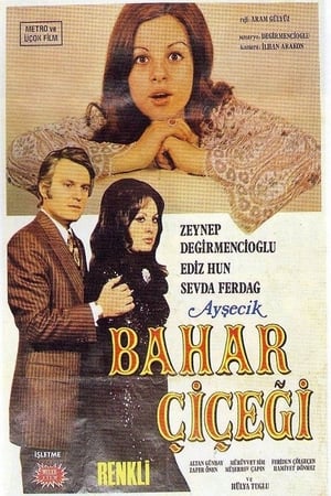 Ayşecik: Bahar Çiçeği poszter