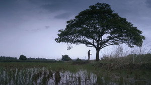 പ്രാവിൻകൂട് ഷാപ്പു háttérkép