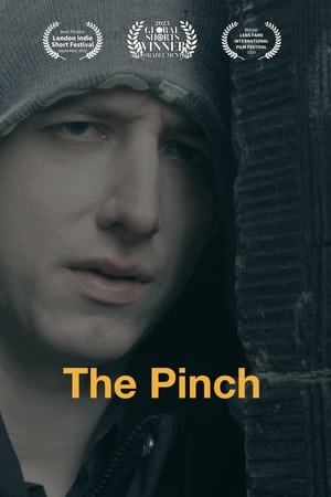 The Pinch poszter