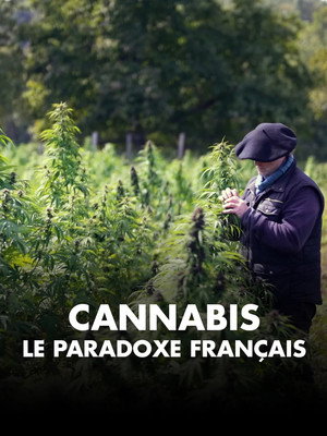 Cannabis, un paradoxe français poszter