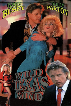Wild Texas Wind poszter
