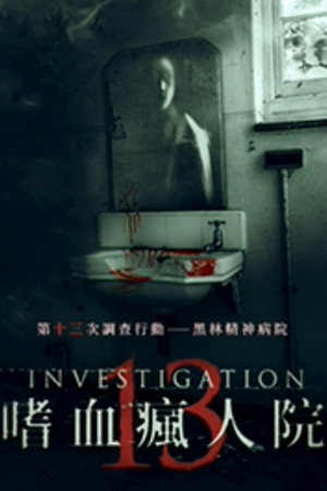 Investigation 13 poszter