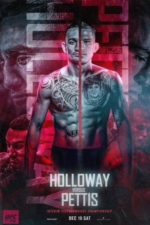 UFC 206: Holloway vs. Pettis poszter