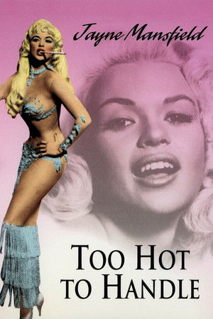 Too Hot to Handle poszter