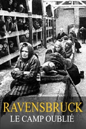 Ravensbrück, le camp oublié