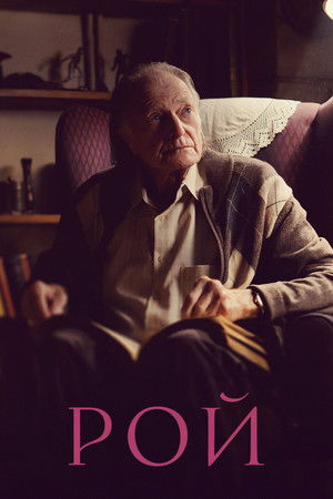 Roy poszter