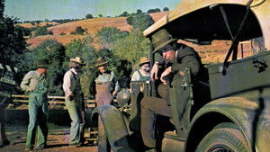 The Moonshine War háttérkép