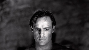 Brando háttérkép