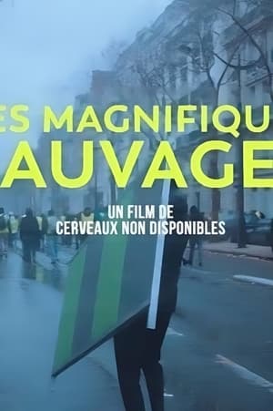 Les Magnifiques sauvages poszter