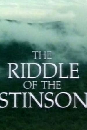 The Riddle of the Stinson poszter