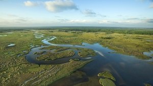 National Parks Exploration Series: The Everglades háttérkép