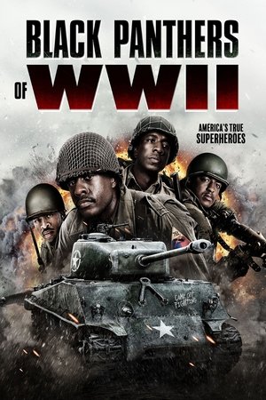 Black Panthers of WWII poszter