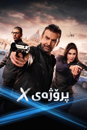 المشروع إكس poszter