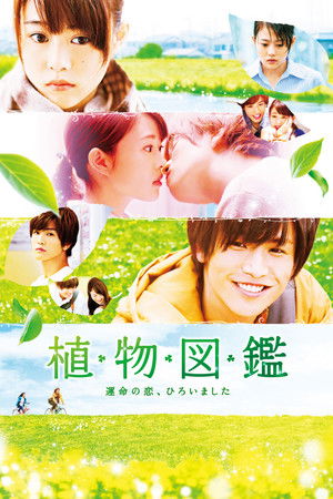 植物図鑑 運命の恋、ひろいました poszter