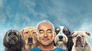 Cesar Millan: Jó gazdi, jó kutya kép